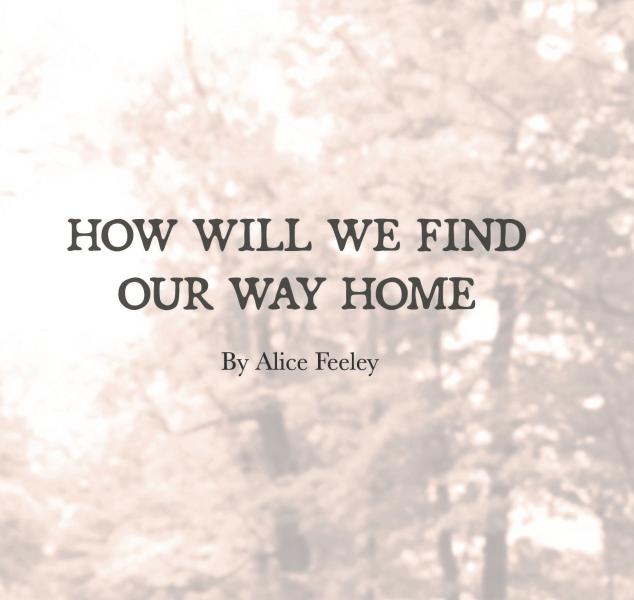 How Will We Find Our Way Home cover.
