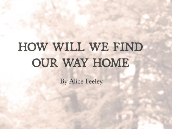 How Will We Find Our Way Home cover.